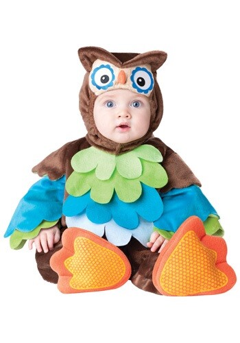 InCharacter Baby Owl What a Hoot Costume, sizes 12-18m & 18-24m, NWT - Picture 1 of 1