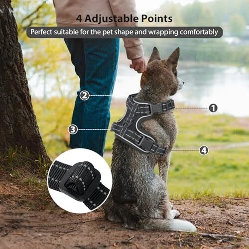 Dog Harness, Easy to Put on with 3 Buckles, No Pull Dog Vest, S Black