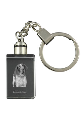 Italian Pointer, Bracco Italiano - Crystal Keychain With