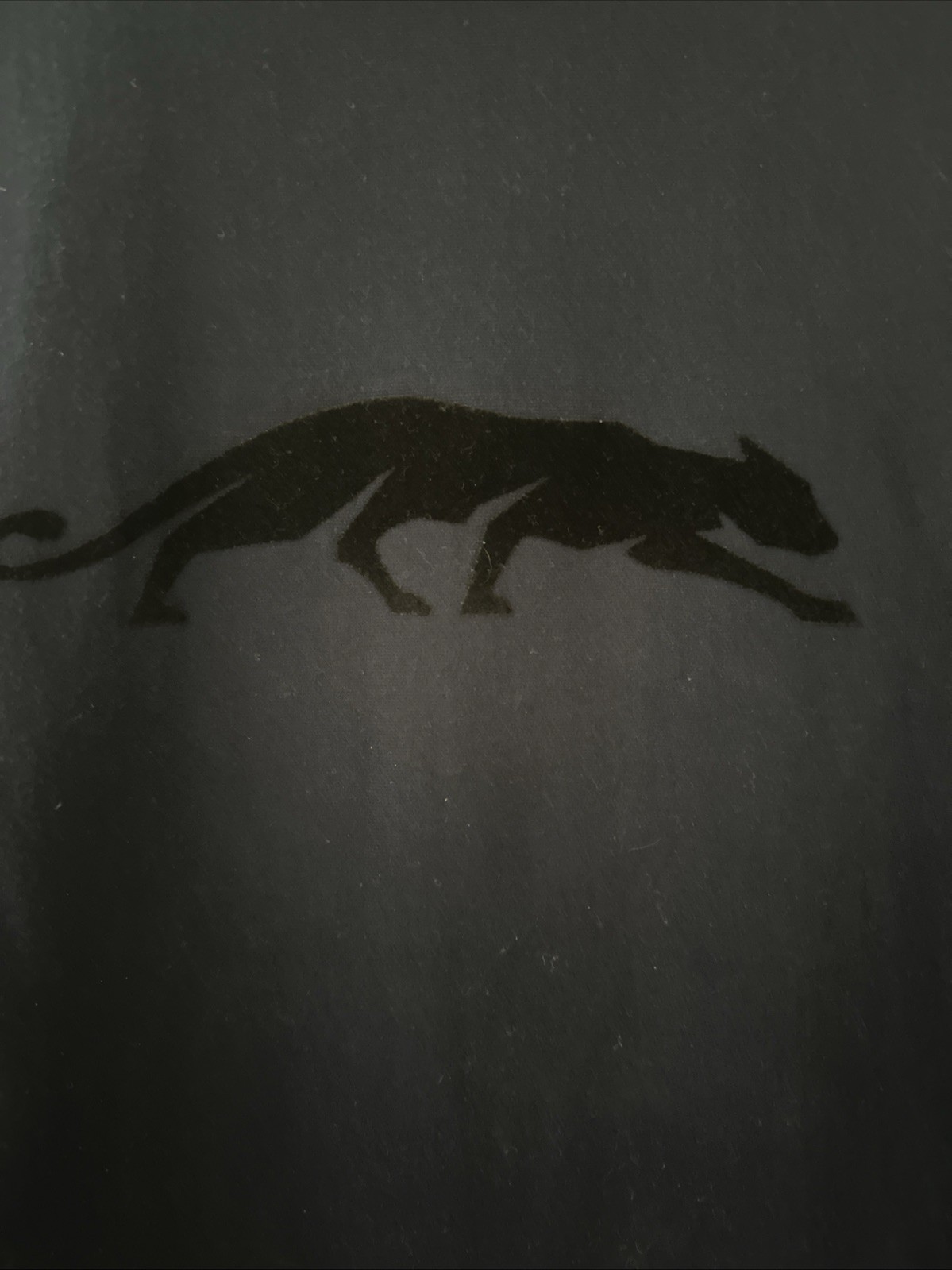 Picture 2 of 6