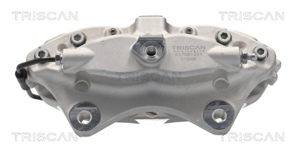Bremssattel Triscan 8175 81201 FüR Tesla Model 100D AWD 60D 70D 75D 85D 90D P85-image