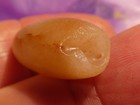 ANCIENT PRECOLUMBIAN TAIRONA 3 HOLE BULLET SHAPE AGATE BEAD 30.1-12.3 MM LUSTRE — photo 5