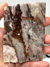 Mexican Laguna Crazy Lace Agate Slab Cabbing Collecting Combo Ship Avail