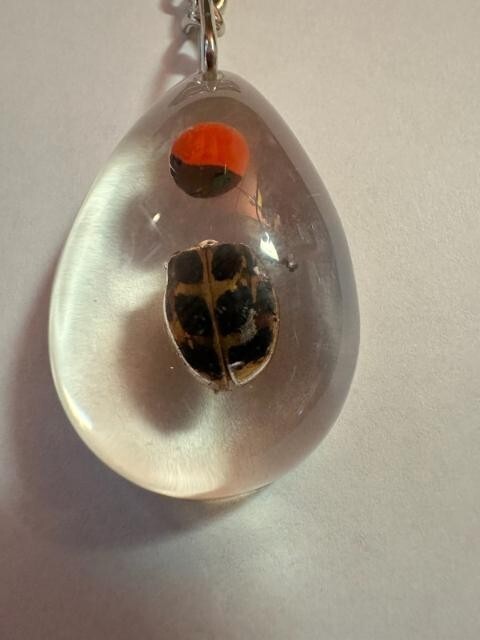 Foto 3 di 4