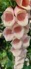 Foto 5 di 5