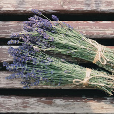 LAVENDER WOODS Type Soap / Candle Making Fragrance Oil 1-16 Ounce