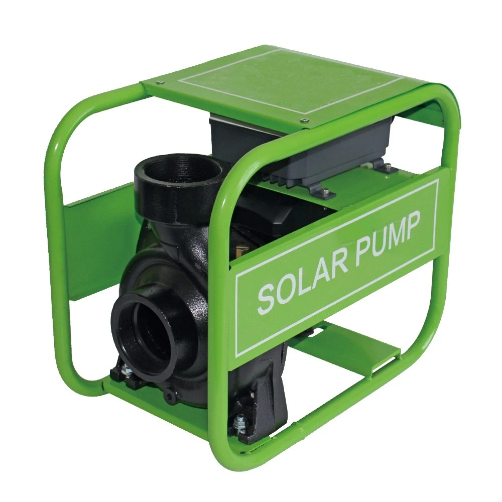 AU STOCK DIFFUL 1500W Solar Pool Pump 110V Hybrid AC DC High Flow Circulation