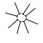 Bild 6 von 7