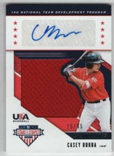 2019 Panini Stars and Stripes Silhouette Jersey AUTO /65 #151 Casey Borba 