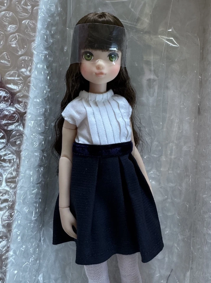 Petworks Ruruko Momoko Sekiguchi Doll MIB CCSgirl AW14 - Imagen 2 de 4