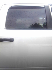 Used Rear Left Door Assembly Rear Side fits: 2015 Ram Dodge 1500 pickup Quad Cab