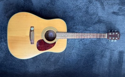 Cort Earth 70NS Akustikgitarre | Dreadnought | Massive Fichte | Gebraucht