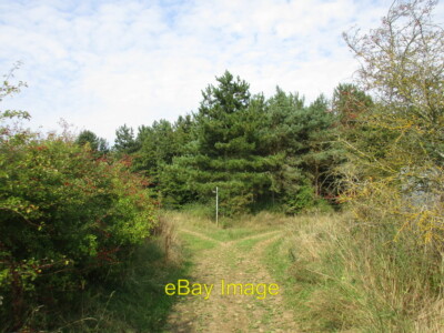 Photo 6x4 Keep to the left for the Viking Way Saltby The ancient route of c2016