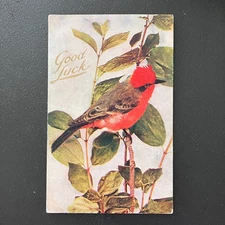 VTG Postcard Good luck Vermillion Flycatcher Bird on Branches