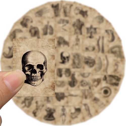 56PCS Medical skeleton model full body anatomical poster for vintage vivid human - Foto 4 di 6