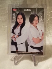 2023 BBM Ambitious Woman's Pro Wrestling #28 Inaba Sisters Tomoka & Azusa
