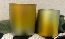 Snow Peak Nagoya Limited Stacking Mug H450 & H300 Yellow Set NEW