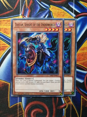 SR07-EN011 Tristan, Knight of the Underworld 1st Edition Mint YuGiOh Card | eBay UK SR07-EN011 Tristan, Knight of the Underworld 1st Edition Mint YuGiOh Card | eBay UK