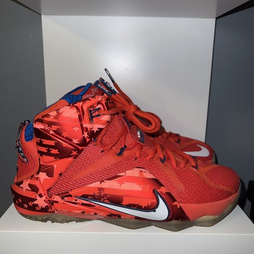 lebron 12 ebay