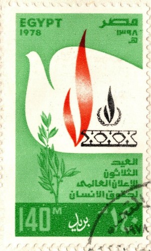 EGYPT 1978 October's Issue U.N DAY FDC PALESTINE, Human Rights, Discrimination - Picture 4 of 7