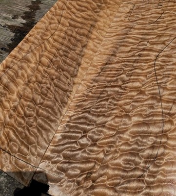 Quilted Maple Bookmatch Top Exotic guitar wood bass figured wood 4 luthier Strat