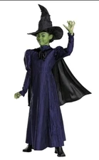 Wicked Movie Elphaba Kids Deluxe Complete Halloween Costume  With Hat and Cape