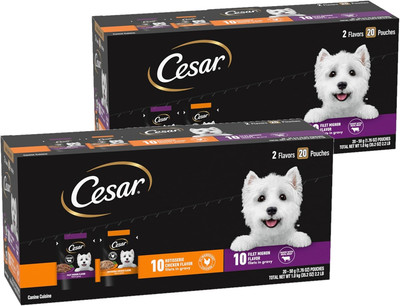 Filets in Gravy Wet Dog Food Filet Mignon Flavor and Rotisserie Chicken Flavor V