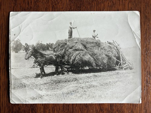 Threshing work horse cart hay stack men pitchfork field wheat harvest crew baler