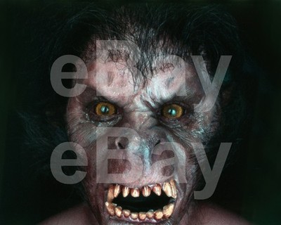 Ein Amerikanischer Werwolf In London (1981) David Naughton 10x8 Foto