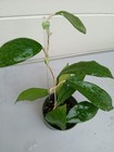 Picture 14 of 24