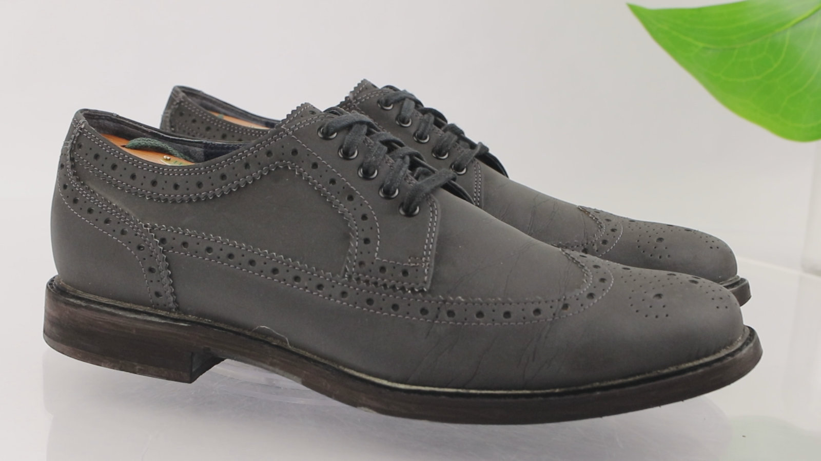 SAOLA Scarpa elegante Cole Haan uomo Oxford taglia 9 5 M grigio antracite punta alare brogue