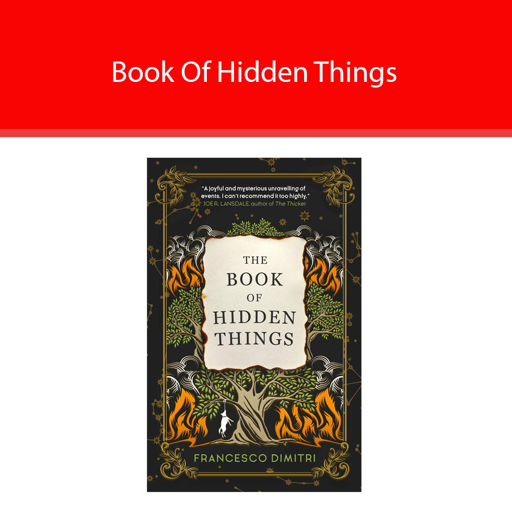 The Book of Hidden Things by Francesco Dimitri book 9781785657078 NEW PB