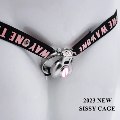 Stainless Steel Pussy Shape Design Chastity Device Metal Chastity Cage Lock Ring - Afbeelding 1 van 19