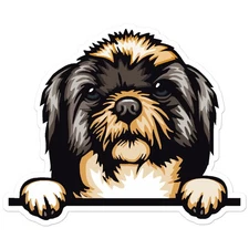 Shihtzu Peeking Dog - Vinyl Decal Sticker - Car Window Laptop - ebn12127