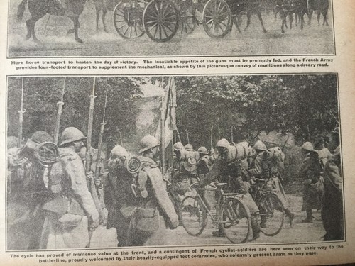 Antiker Druck Der Krieg Illustrierte Fine Art Blüht in Kriegsfeldern 1917 - Bild 9 von 9