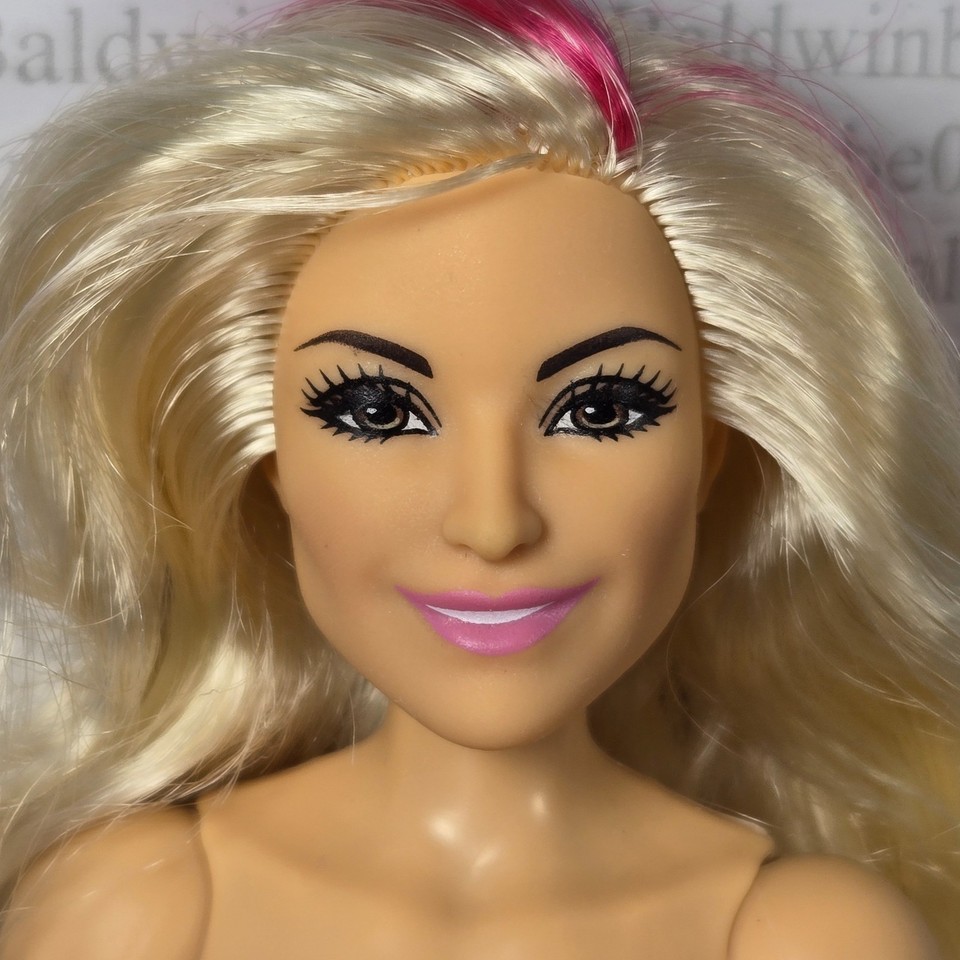 C49 ~ WWE NATALYA SUPERSTARS DIVA NUDE ARTICULATED ACTION FIGURE DOLL 4 OOAK | eBay