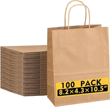 Kraft Paper Bags with Handles, 100 Pack, 8.2x4.3x10.5 Inch, Brown