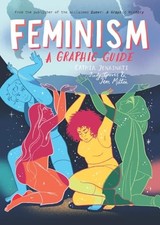 Feminism: A Graphic Guide (Introducing...) by Jenainati, Groves, Milton New..