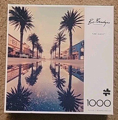  Buffalo Games Bo Bridges PURE MAGIC 1000 piece puzzle reflection palm trees