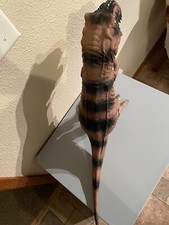 Toys R US 2015 Dinosaur 16"Large Soft Rubber Maidenhead Jurassic T-Rex Free SHIP