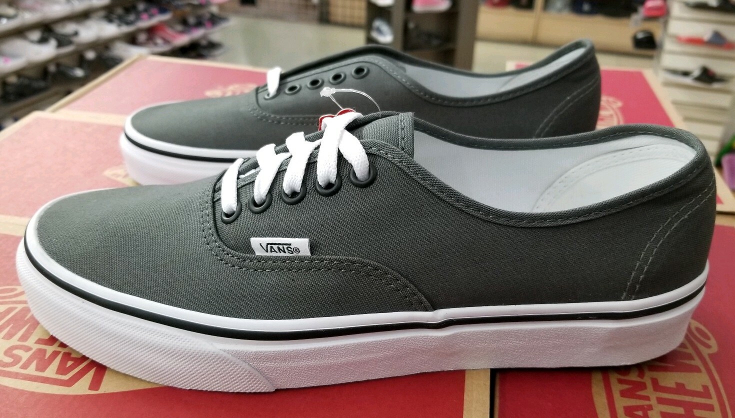 Vans Authentic Shoe in Pewter / Black - Size: Mens 7.0/Womens 8.5