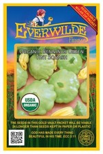 20 Organic Bennings Green Tint Scallop Summer Squash Seeds - Everwilde Farms