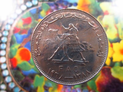 Sudan 25 Qirsh AH1388 1968 Unc FAO Food & Agriculture Org Coin h6640
