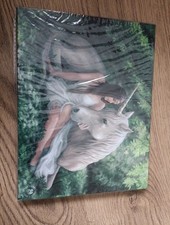 Image of Pure Heart Canvas Plaque by Anne Stokes Wall Art 25 X 19cm