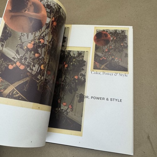 Wade Guyton Color Power & Style / 1st Edition 2006 Artist Book - Picture 9 of 11
