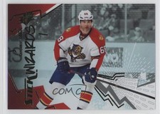 2015-16 SPx Stick Wizards Jaromir Jagr #85 q2b