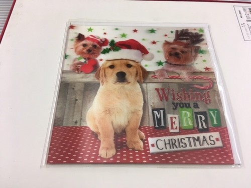 Me To You / Up Close General Xmas Cards including 3d Cards and Money Wallets - Picture 10 of 43