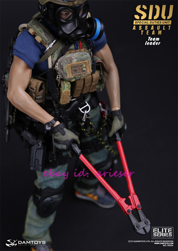 Damtoys 78034 1/6 Sdu (Special Duties Unit) Assault Team Leader