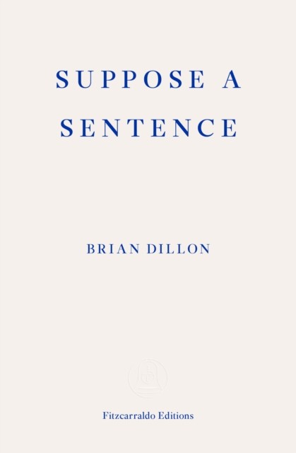 Suppose a Sentence by Brian Dillon (PB 2020) - Image 3