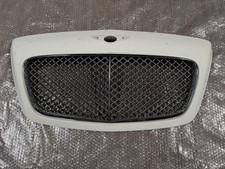 2009-2011 Bentley Gt Gtc Front Radiator Grille Assembly Surround Trim Mesh Oem
